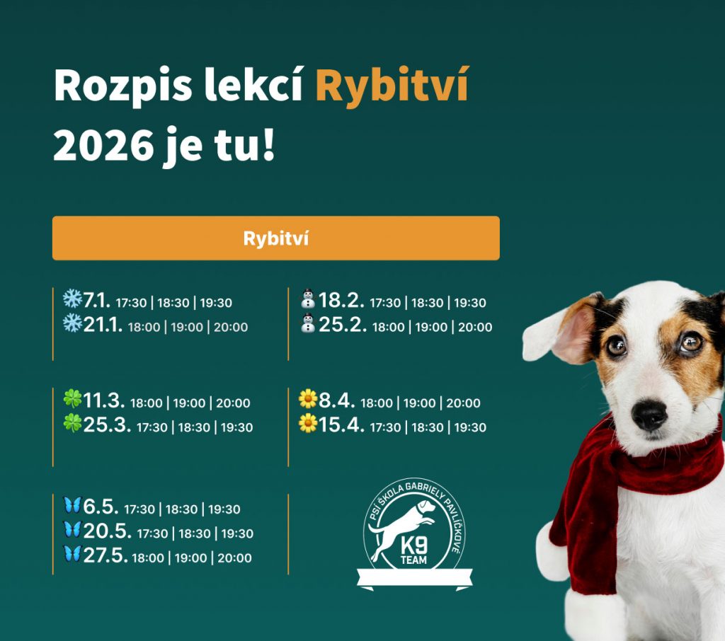 Rozpis handling lekcí Rybitví